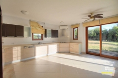 sarp_sakiz_beylikduzu_fotolar_022